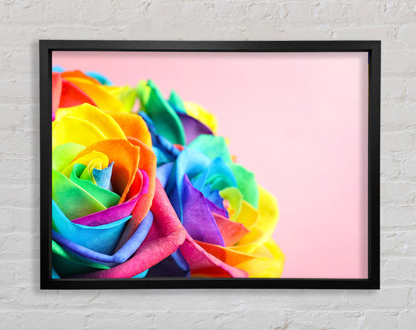 Regenbogen-Nahaufnahme stieg