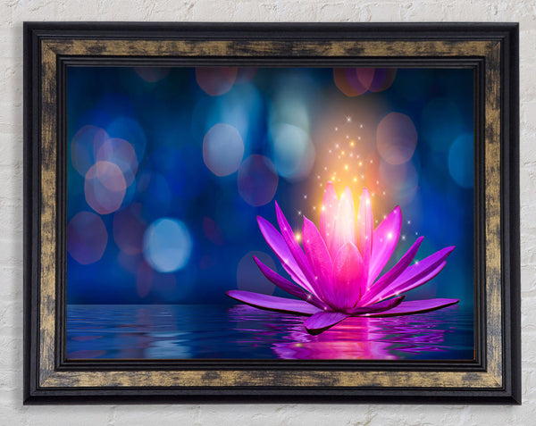 Spores of light from a lilly Framed Print