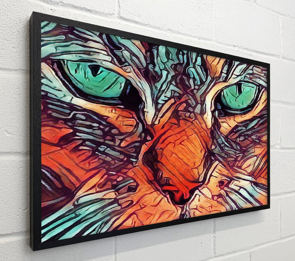 Cat eyes close in view
