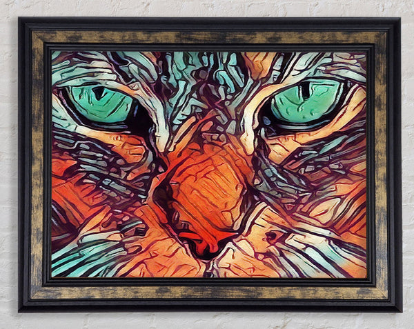 Cat eyes close in view
