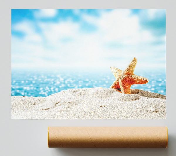 Starfish On The Beach Poster