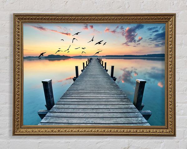 Bridge into the lake and seagulls Framed Print