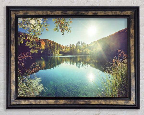 View of the lake through the branches Framed Print