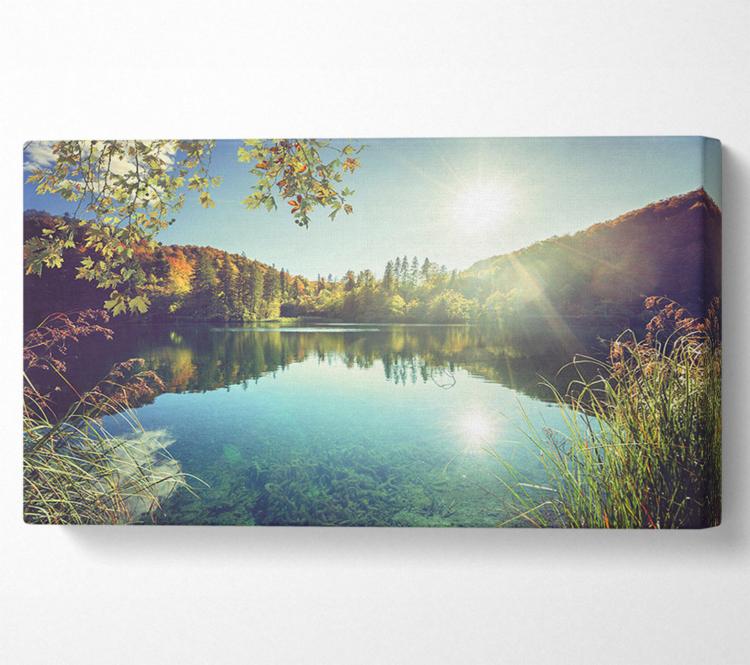  A Canvas Print of View of the lake through the branches Canvas Wall Art