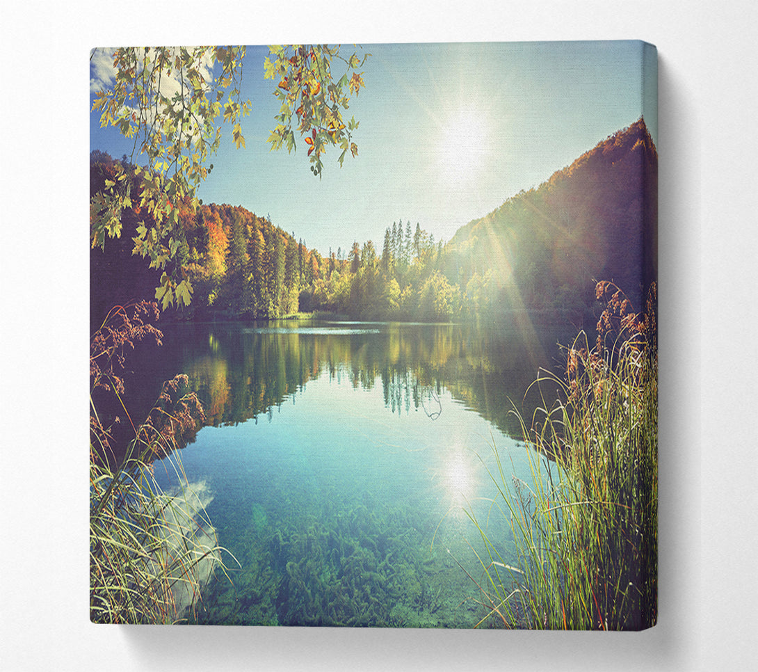  A Canvas Print of View of the lake through the branches Canvas Wall Art