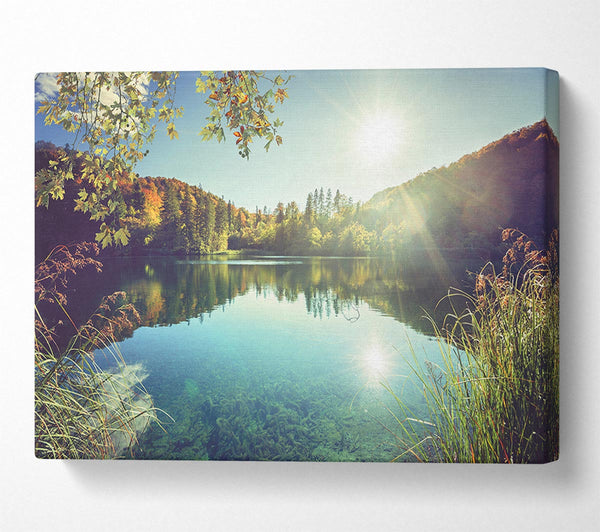  A Canvas Print of View of the lake through the branches Canvas Wall Art