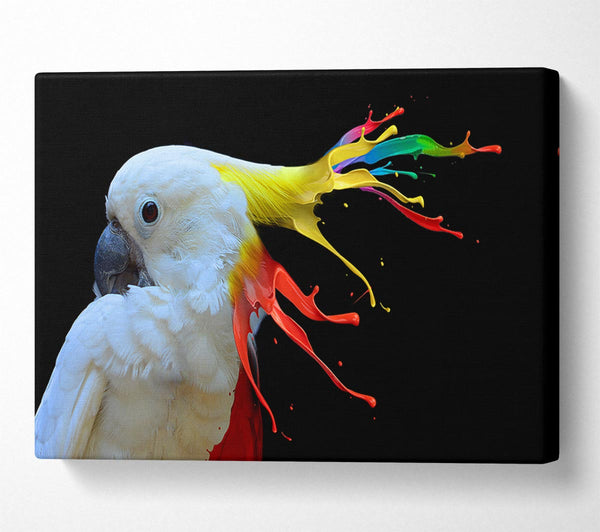  A Canvas Print of cockatoo colour splash Canvas Art