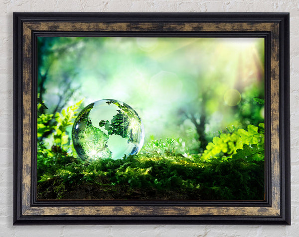 Droplet of the earth Framed Print