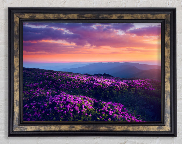 Purple Meadow mountains Framed Print