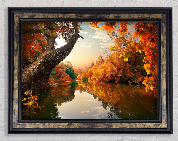 Perfect Autumn lake Framed Print