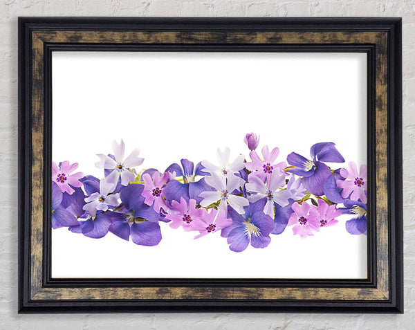 Pink and violet flowers laid out Framed Print