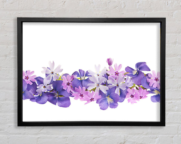 Pink and violet flowers laid out Framed Print