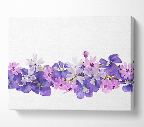  A Canvas Print of Pink and violet flowers laid out Canvas Art