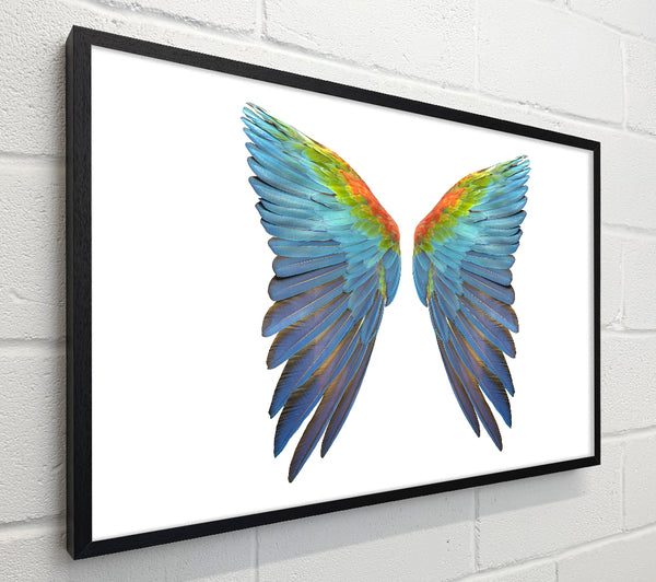 Parrot Vibrant wings