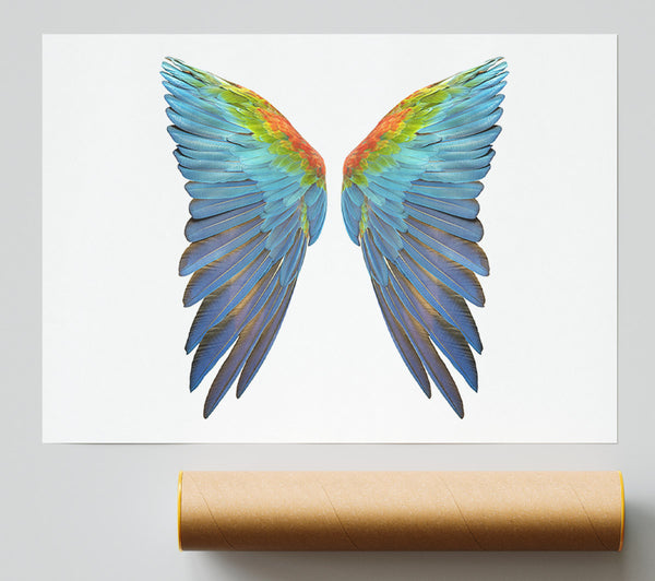 Parrot Vibrant Wings Poster