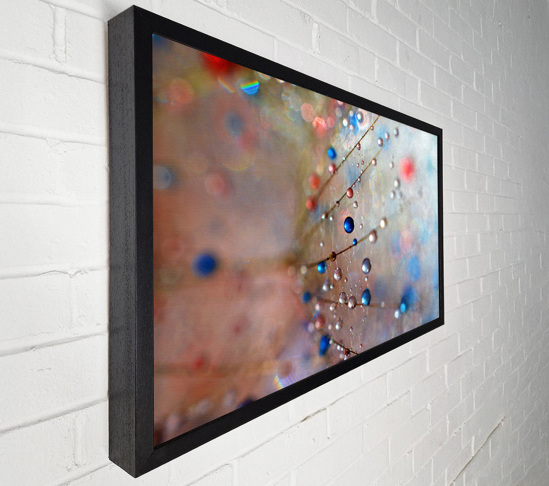  A Canvas Print of Droplets of colour on a flower Canvas Art