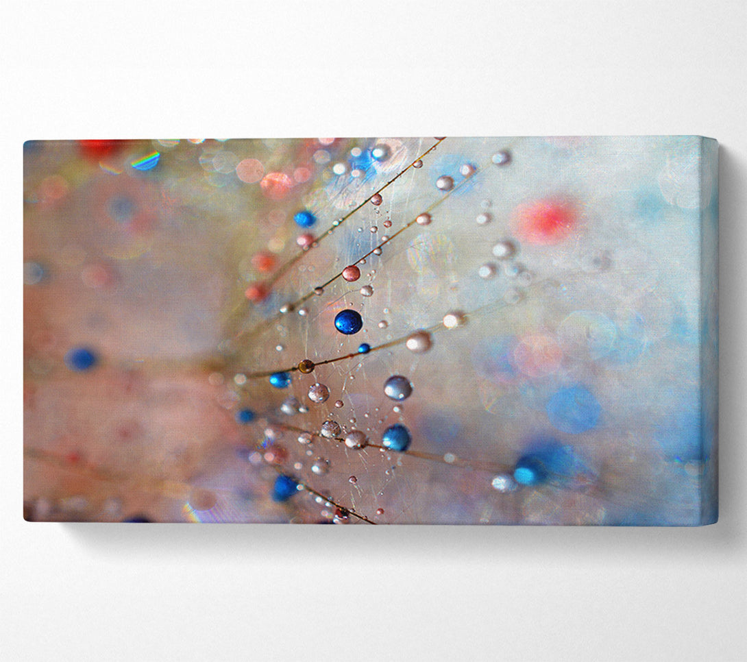  A Canvas Print of Droplets of colour on a flower Canvas Art
