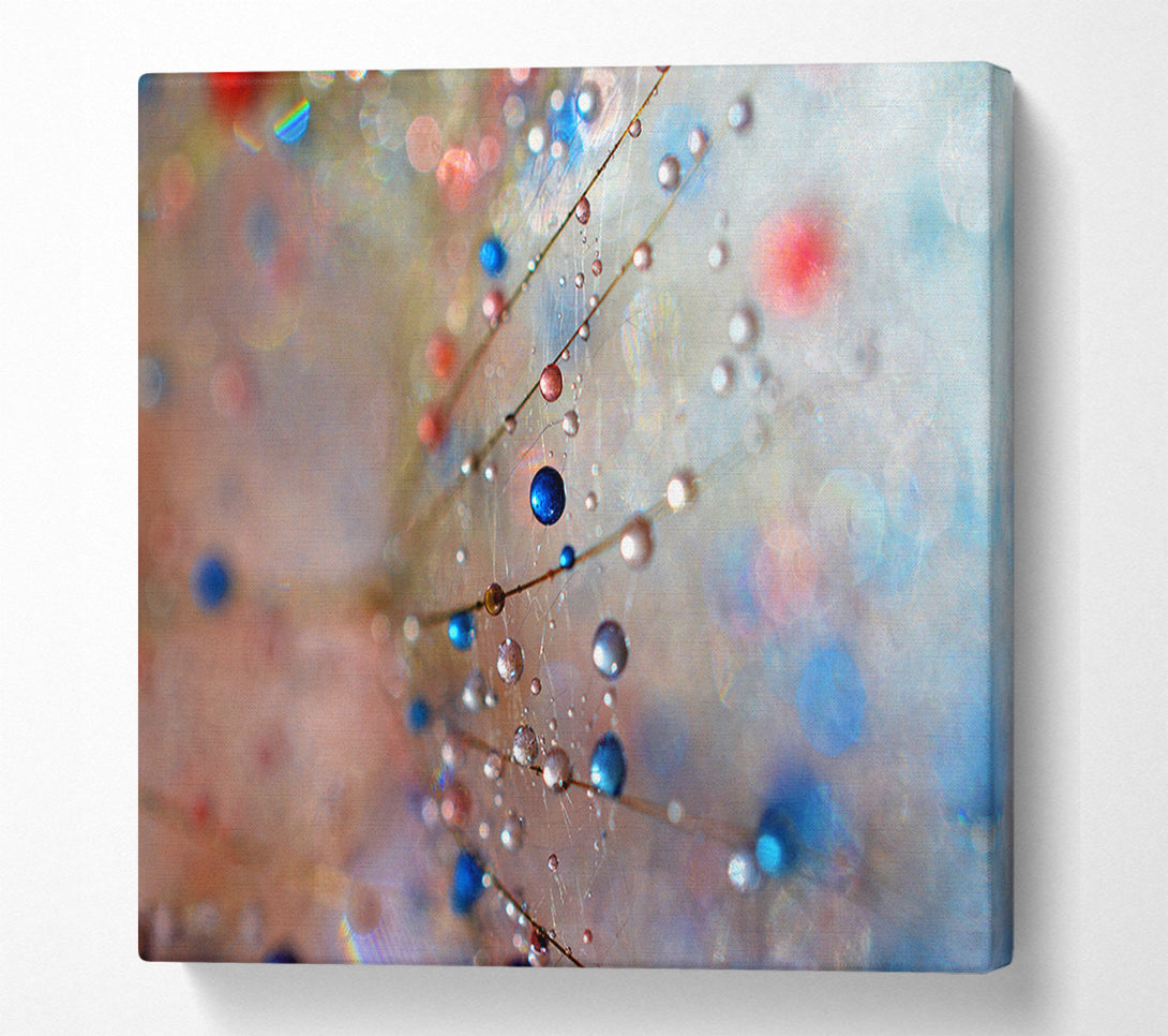  A Canvas Print of Droplets of colour on a flower Canvas Art