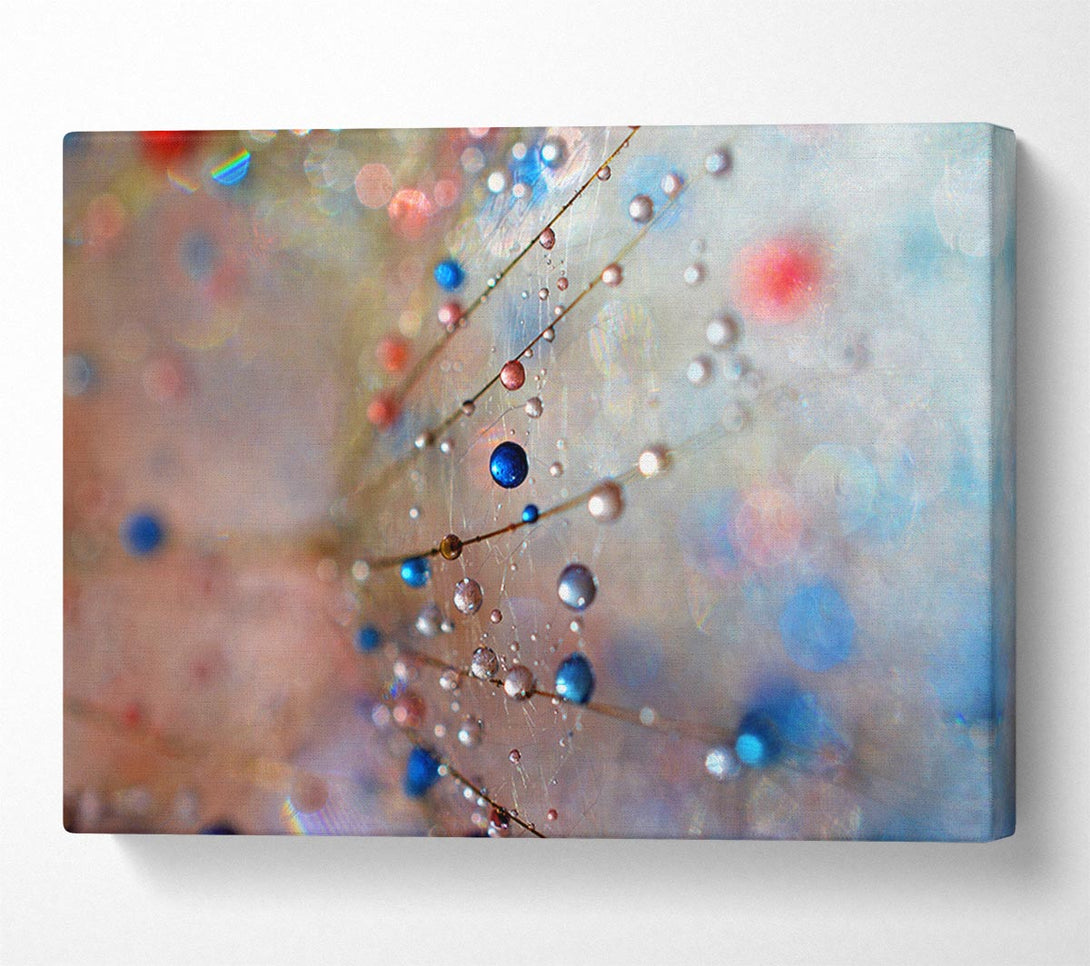  A Canvas Print of Droplets of colour on a flower Canvas Art