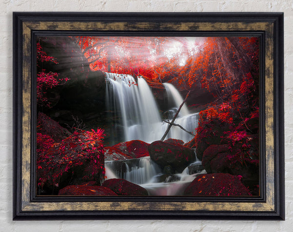 Red Forest Waterfall Delight Framed Print