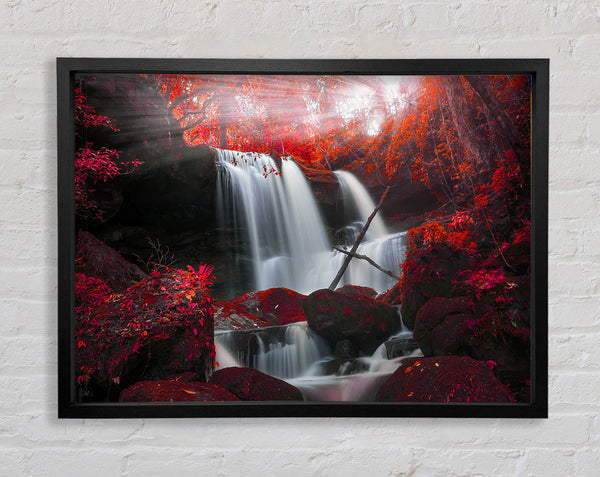 Red Forest Waterfall Delight