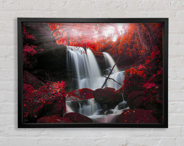 Red Forest Wasserfall Vergnügen