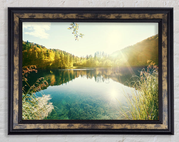 Sun shining on the calm river Framed Print