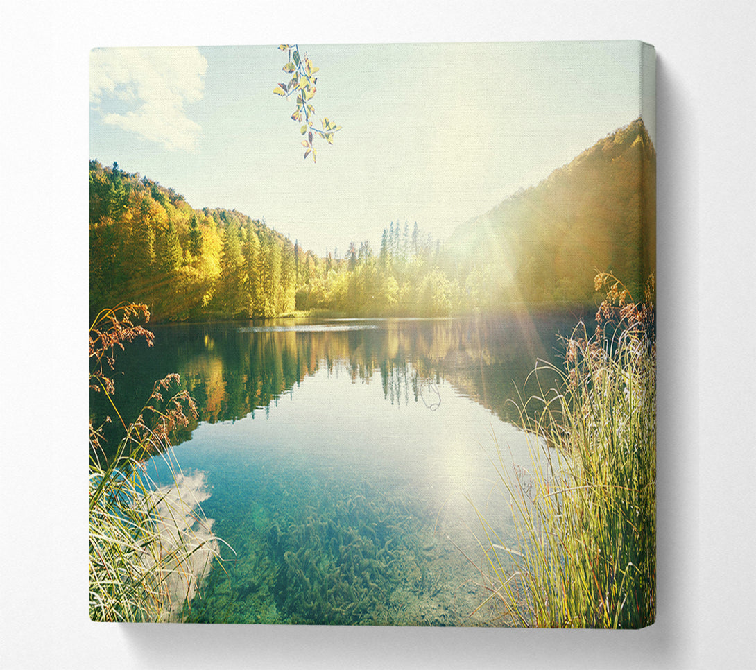  A Canvas Print of Sun shining on the calm river Canvas Print