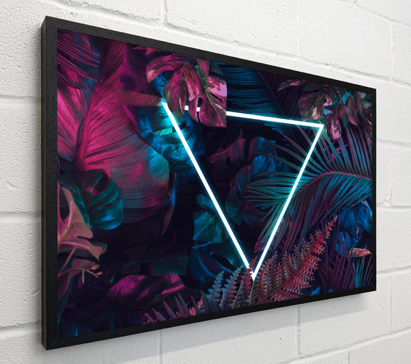 Neon triangle in the jungle