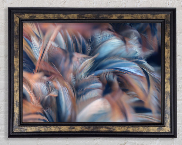 Custer of feathers Framed Print