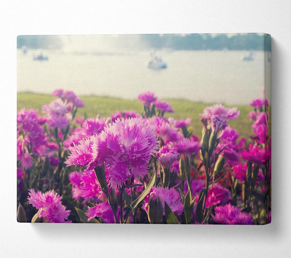  A Canvas Print of Pink flowers in the countryside Canvas Wall Art