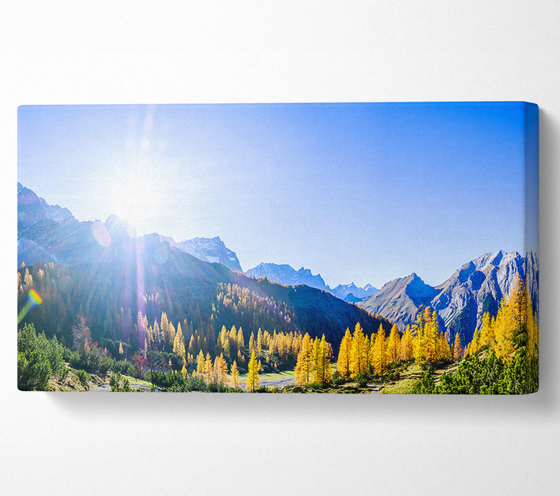 A Canvas Print of Mountain view of tall trees sunrise Canvas Wall Art