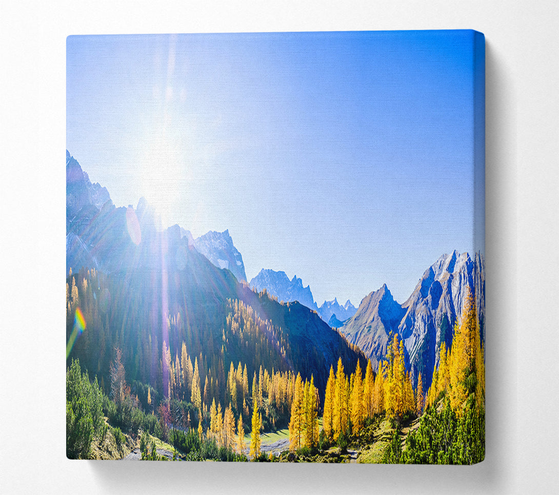  A Canvas Print of Mountain view of tall trees sunrise Canvas Wall Art