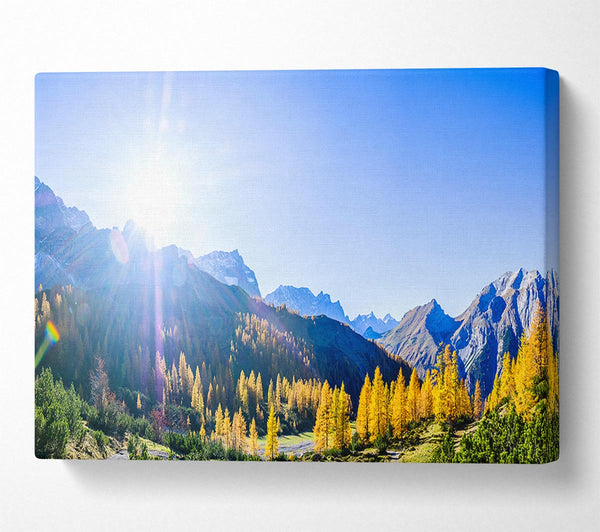  A Canvas Print of Mountain view of tall trees sunrise Canvas Wall Art
