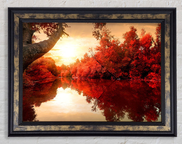 Stunning red forest reflections in the river Framed Print