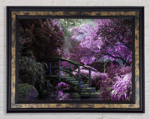 Little foot bridge in the lilac forest Framed Print