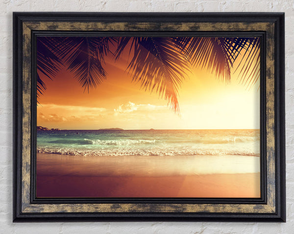 Dreamy sunny break Framed Print