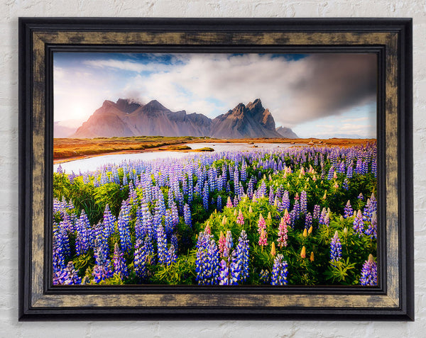 Loopins in the forest Framed Print