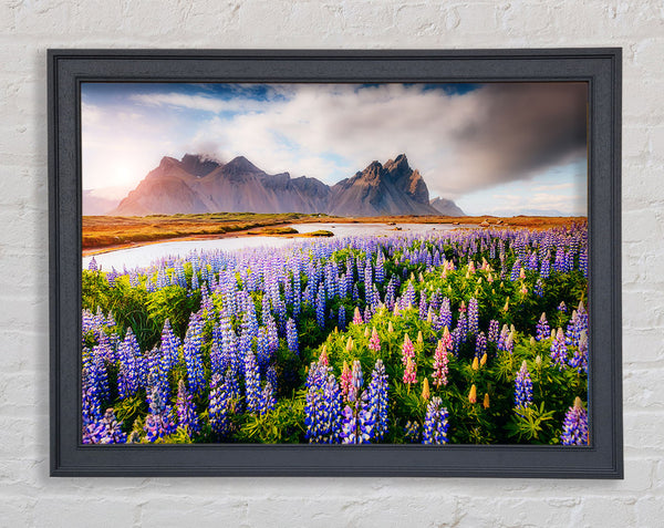 Loopins in the forest Framed Print