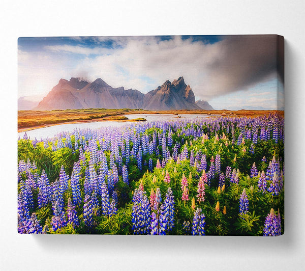  A Canvas Print of Loopins in the forest Canvas Print