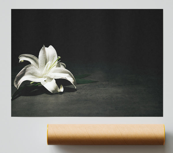 White Lilly On The Floor Print