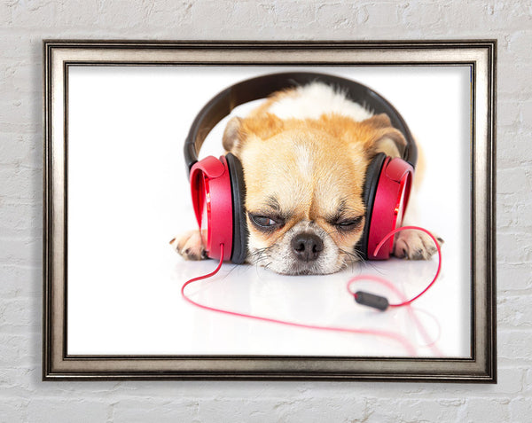 Dog listening to music relaxing Framed Print