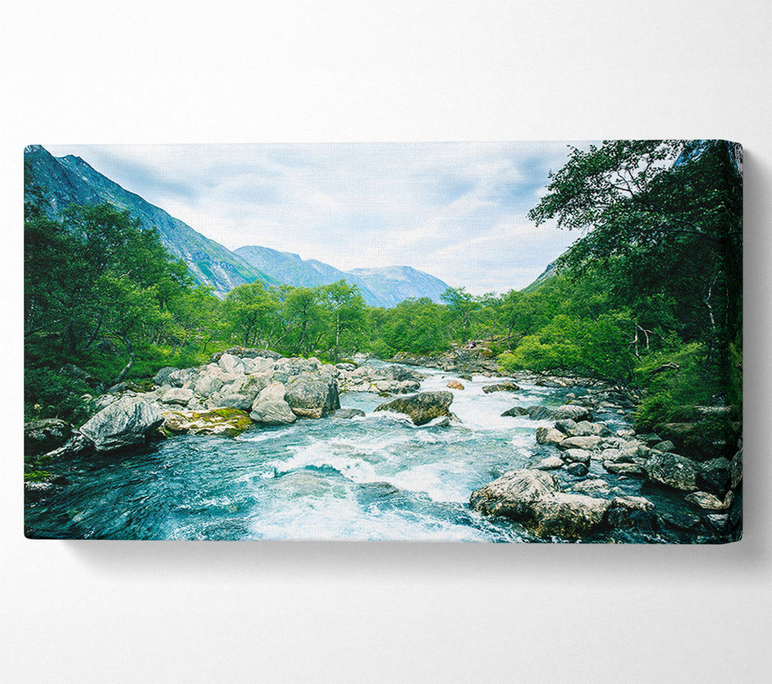  A Canvas Print of Stunning rapids of water forest Canvas Wall Art