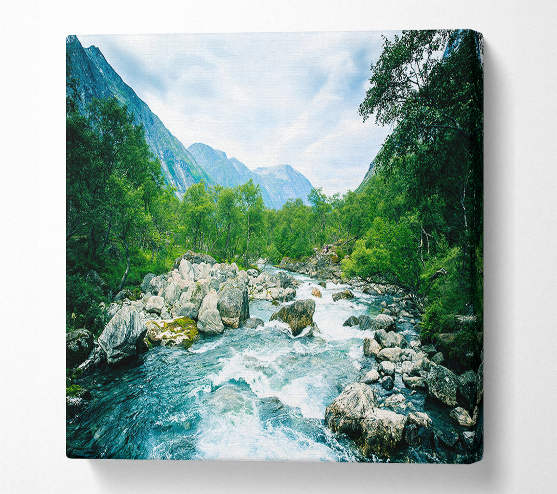  A Canvas Print of Stunning rapids of water forest Canvas Wall Art