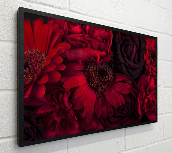 Red dying flowers