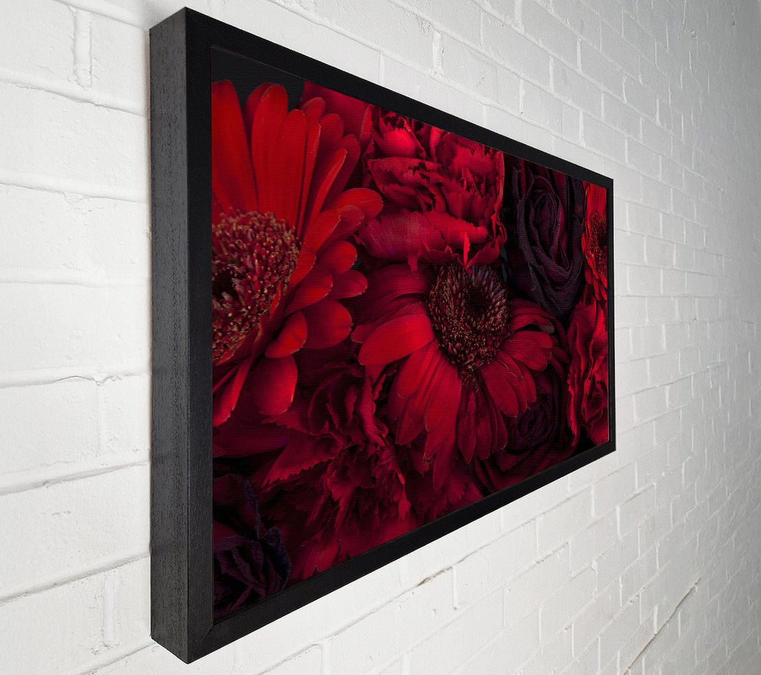  A Canvas Print of Red dying flowers Canvas Print