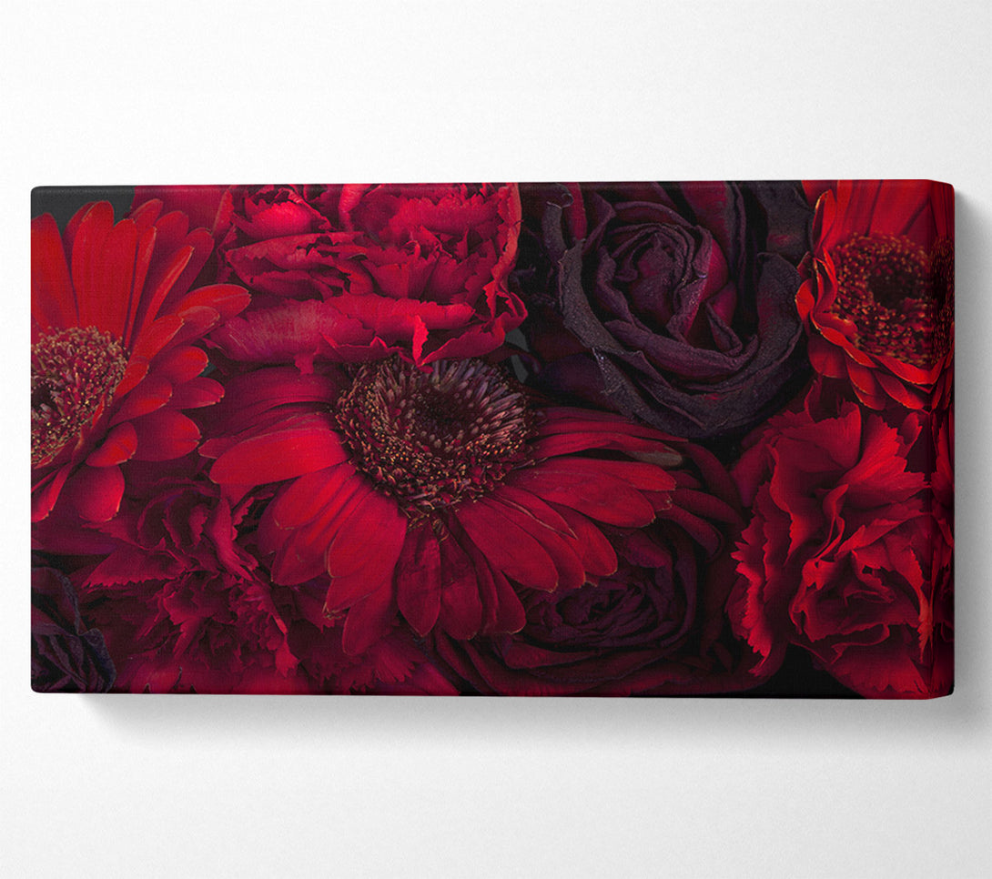  A Canvas Print of Red dying flowers Canvas Print