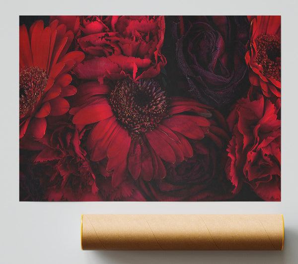 Red Dying Flowers Print