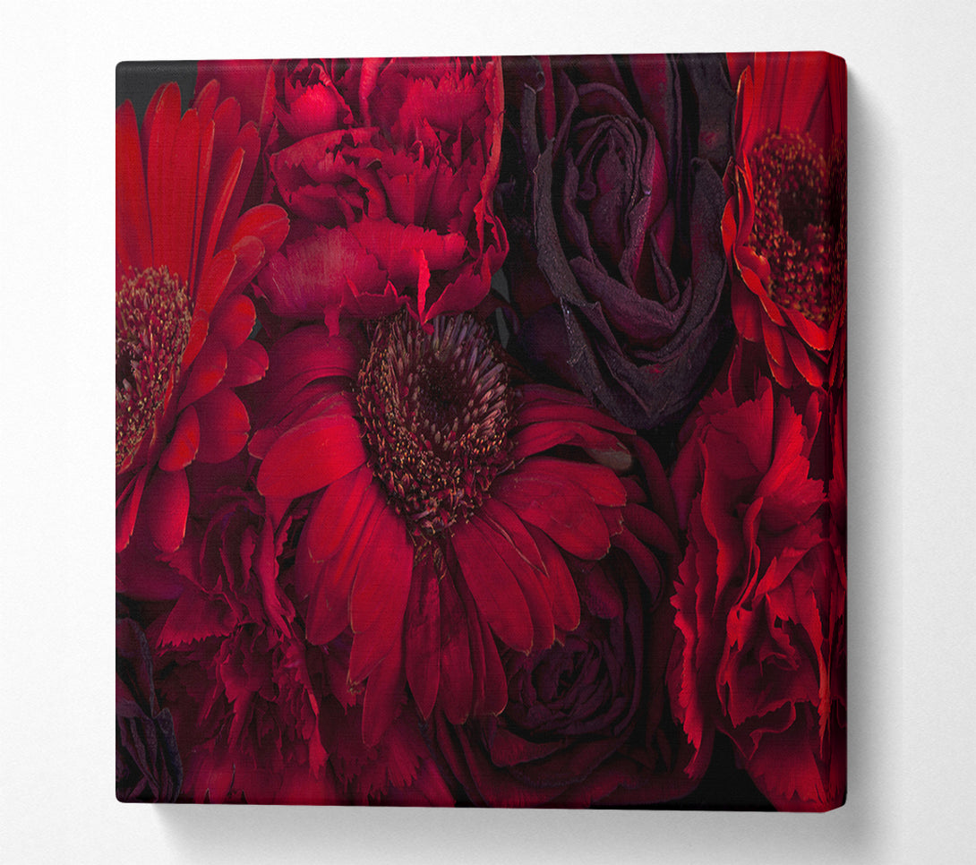  A Canvas Print of Red dying flowers Canvas Print