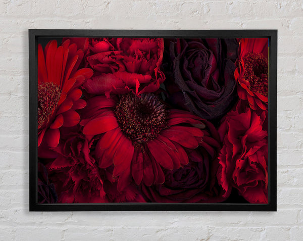 Rote sterbende Blumen